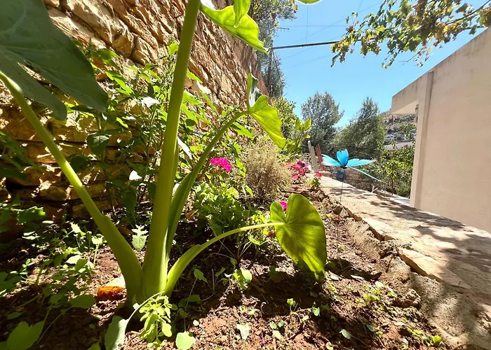 Duka Casa de Férias *